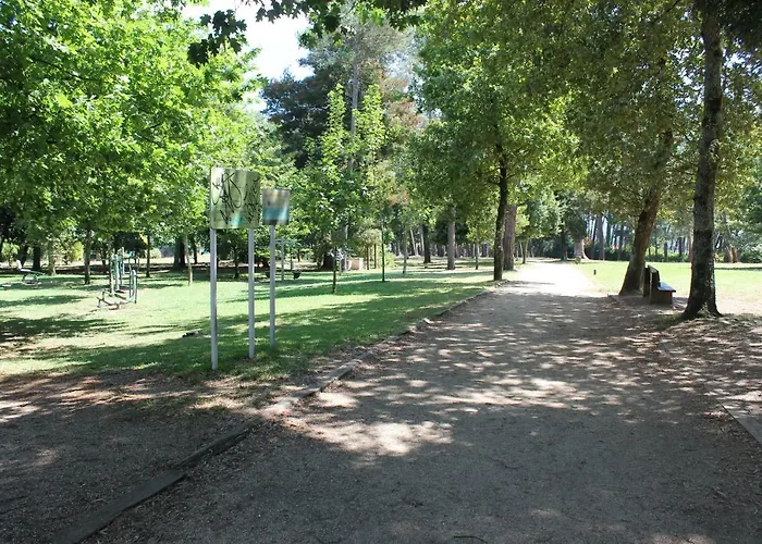 Piso En Primera Linea سانكسينكسو